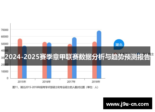 2024-2025赛季意甲联赛数据分析与趋势预测报告