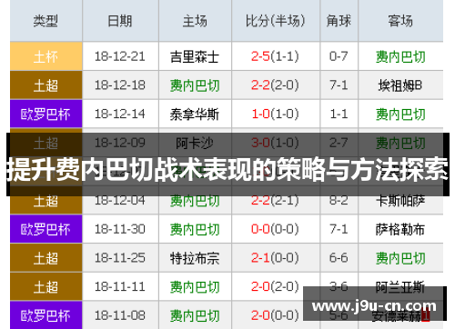 提升费内巴切战术表现的策略与方法探索