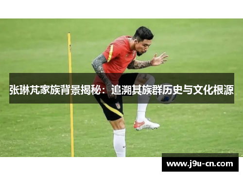 张琳芃家族背景揭秘：追溯其族群历史与文化根源
