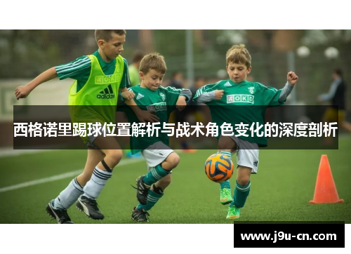 西格诺里踢球位置解析与战术角色变化的深度剖析